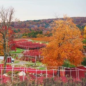 Meet your Posher, Tori